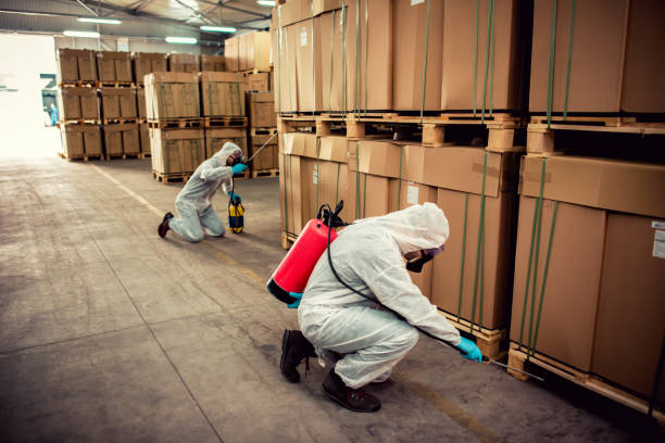 Best Best Pest Control Companies  in Memphis, TX
