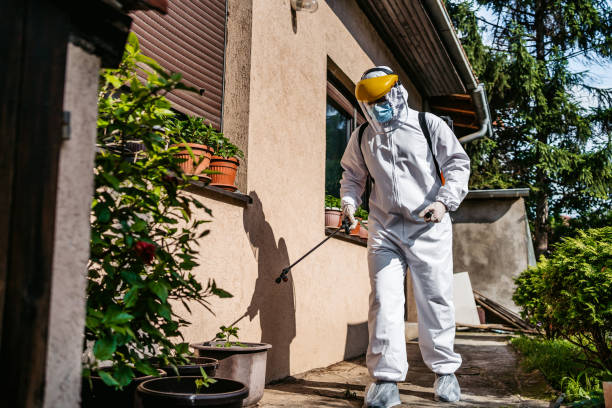 Best Bed Bug Extermination  in Memphis, TX