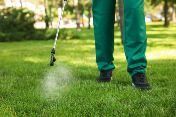 Professional Pest Control in Memphis, TX