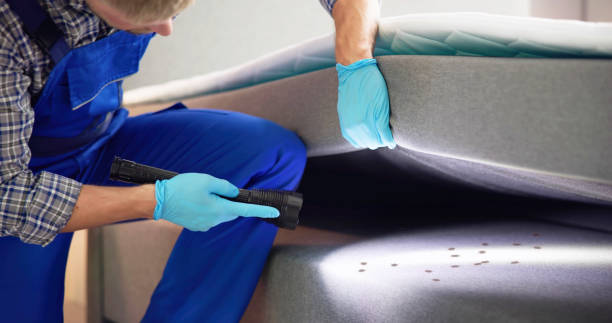 Best Emergency Pest Control  in Memphis, TX