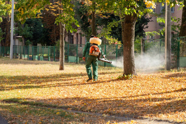  Memphis, TX Pest Control Pros